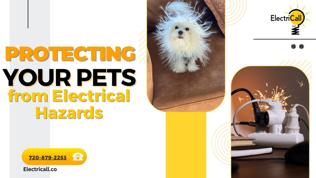ElectriCall promotes protecting pets from electrical hazards — Denver electricians offering tips to keep cats and dogs safe from cords, outlets, and electric shocks.